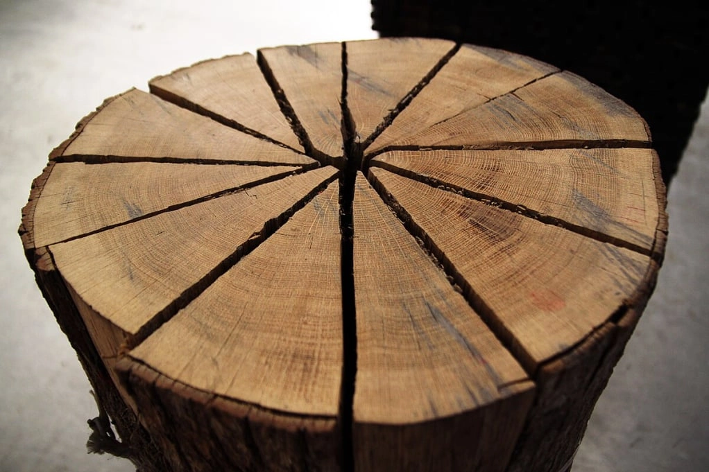 Bille de chêne Sessile fendu avant la découpe en douelles