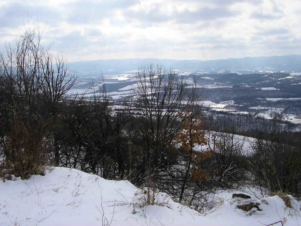 Forêt des Balkans enneigée